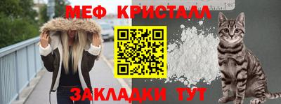 прущие грибы Кимры